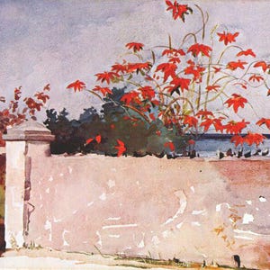 Homer, Winslow - A Wall, Nassau