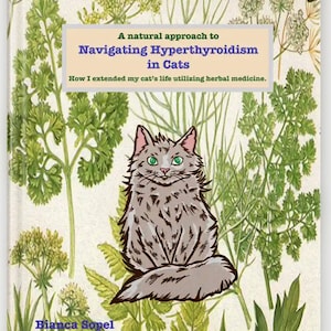 May include: Book cover with a gray cat sitting on a white background with green plants. The title is "A natural approach to Navigating Hyperthyroidism in Cats. How I extended my cat's life utilizing herbal medicine." The author's name is "Bianca Sopel".
