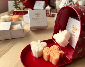 Set regalo di cera di soia da sciogliere a Natale - 6 cere di soia da sciogliere - Regalo di Natale