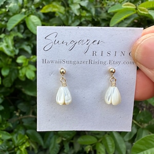 May include: A pair of white shell earrings with gold wire and beads. The earrings are on a white card with the text "Sungazer Rising" and "HawaiiSungazerRising.Etsy.com".