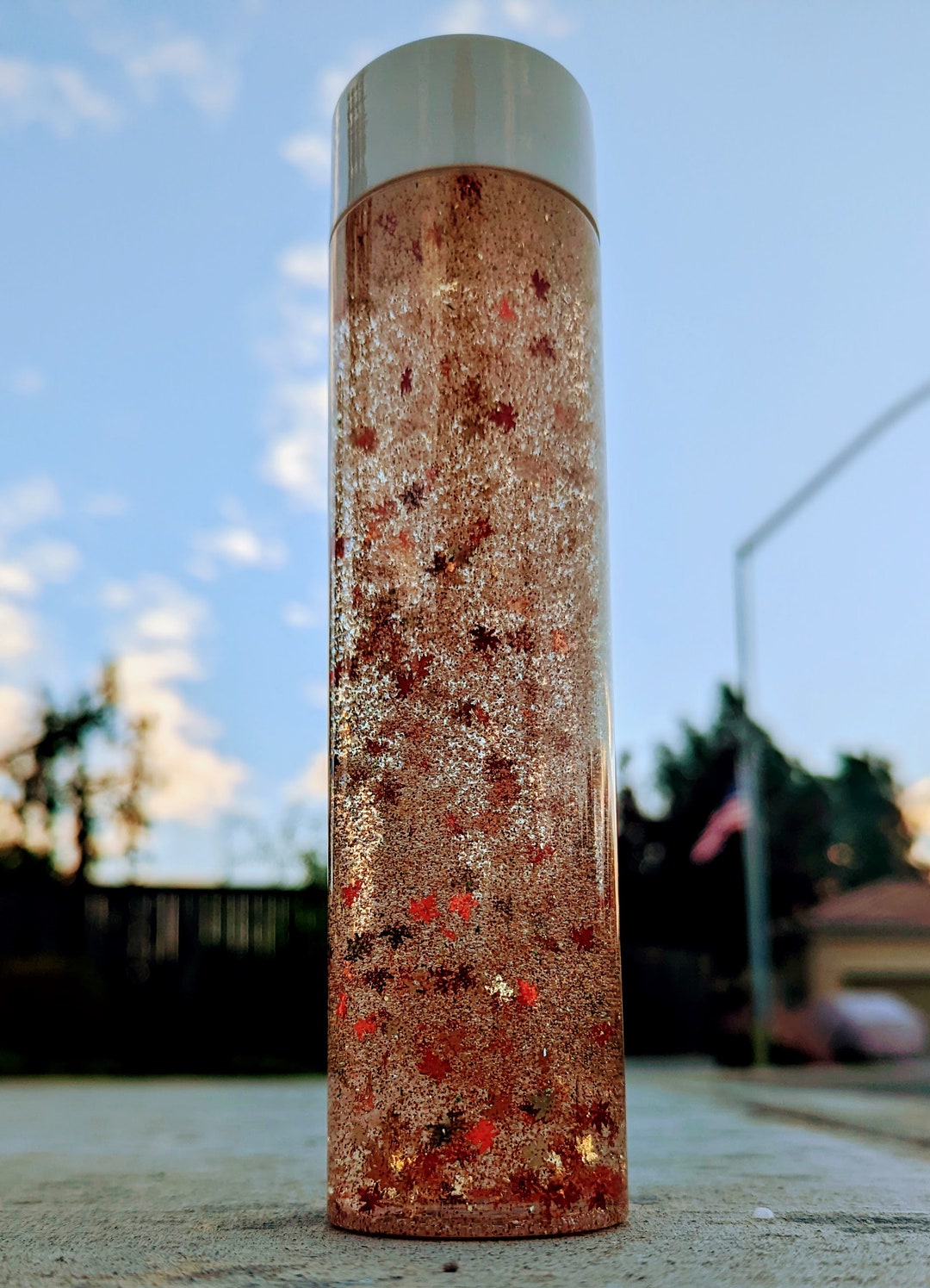 Autumn Leaves Falling Glitter Jar Stress Relief Sensory Etsy