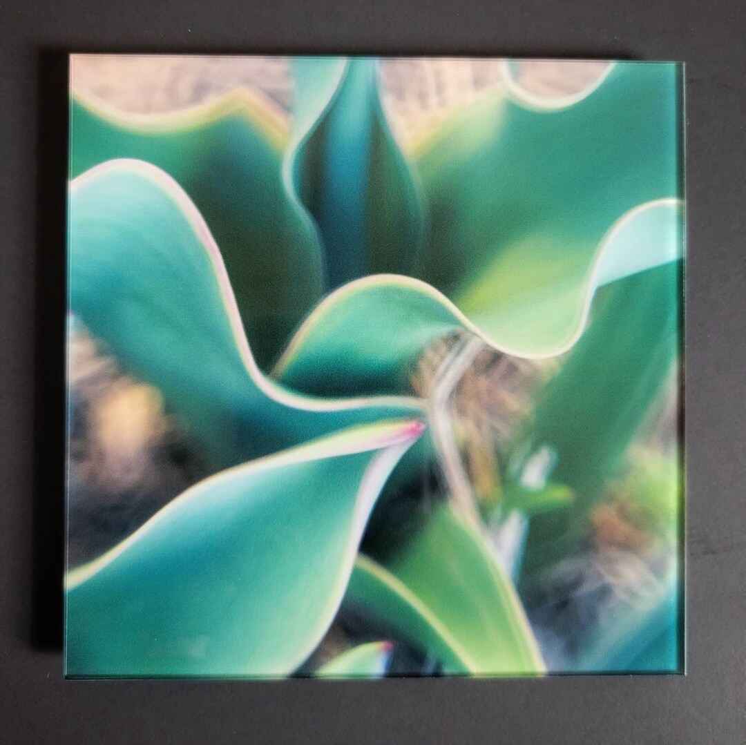 Postcard Ruffle Edges Ruffled Edges - Etsy