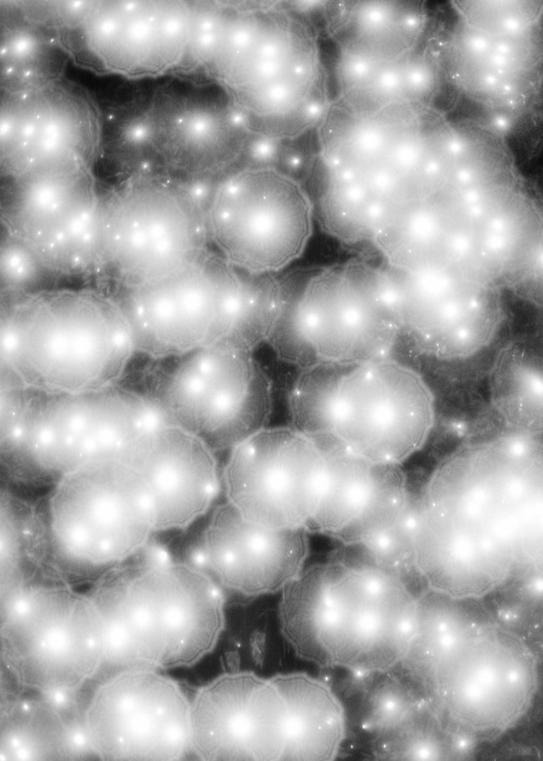 Scalloped Bokeh Overlay Photography Overlay Black and White Overlay