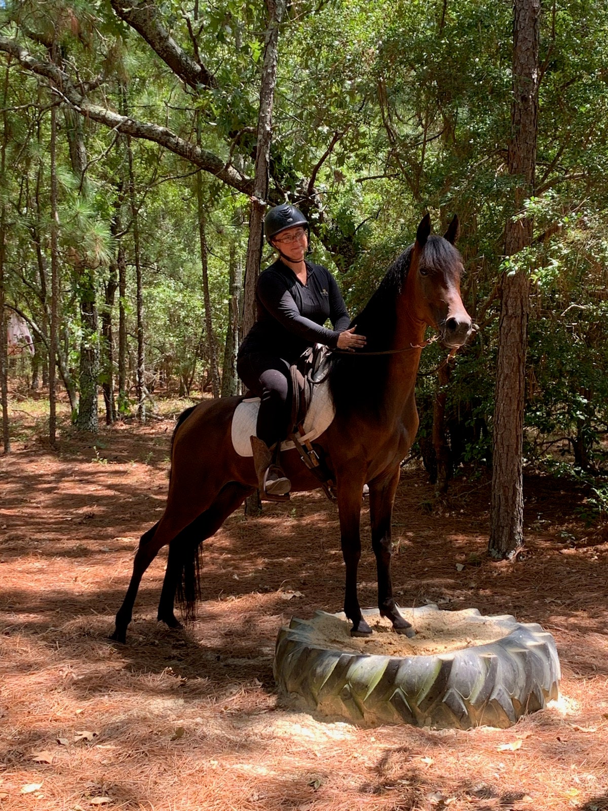 Bridleless Bit and Reins Etsy