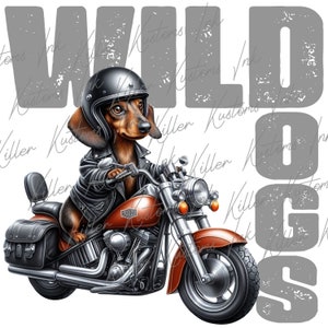 Sublimation de chiens sauvages PNG, moto homme téléchargement numérique, veste en cuir téléchargement immédiat, impression moto teckel