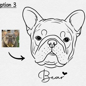 May include: A black and white line drawing of a French Bulldog with the name "Bear" written below. The drawing is on a white background.