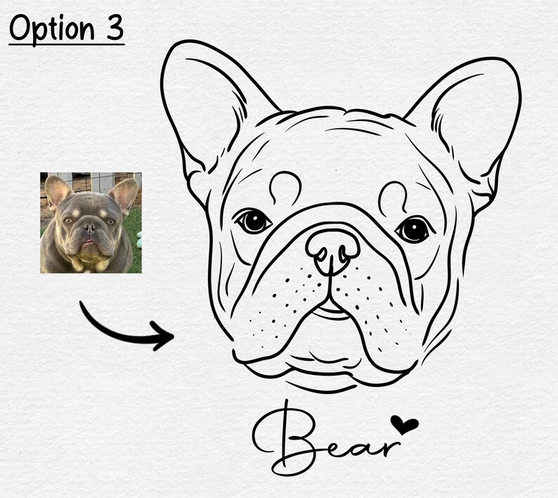 May include: A black and white line drawing of a French Bulldog with the name "Bear" written below. The drawing is on a white background.