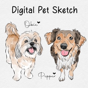 Aangepaste huisdier aquarel tekening, digitale huisdier overzicht, huisdier aquarel van foto, eenvoudige huisdier schets tekening, alleen digitaal bestand