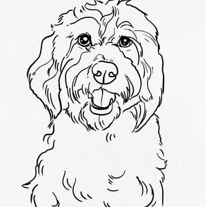 May include: Line drawing of a dog with curly fur. The dog is looking directly at the viewer with its mouth slightly open, as if smiling.