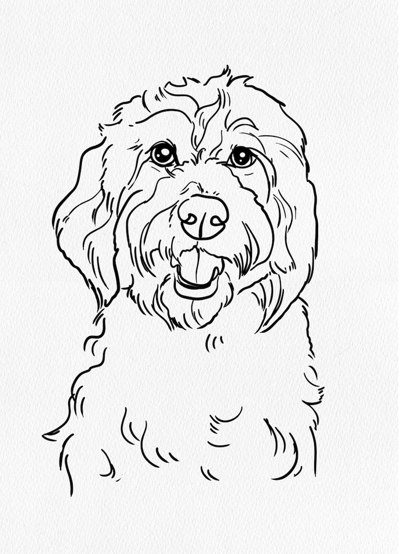 May include: Line drawing of a dog with curly fur. The dog is looking directly at the viewer with its mouth slightly open, as if smiling.