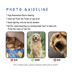 May include: A photo guide for taking good pictures of dogs. The guide shows three photos of dogs, one labeled "good" and two labeled "bad". The "good" photo shows a golden retriever sitting in a grassy field, looking directly at the camera. The "bad" photos show a dog sleeping on a bed and a dog looking up at the camera from a low angle.