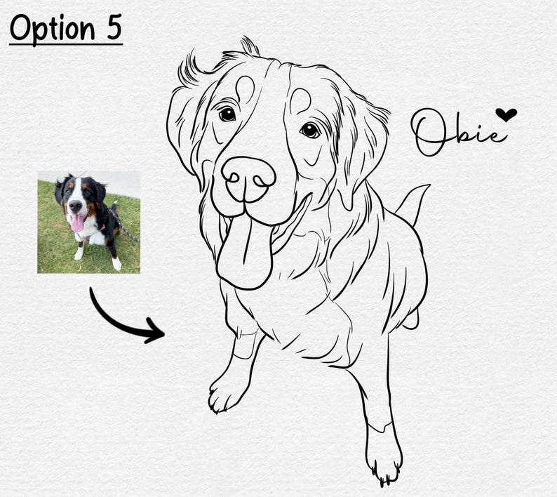 May include: Line drawing of a Bernese Mountain Dog with its tongue sticking out. The dog is named Obie.