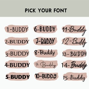 May include: A graphic showing 15 different font styles labeled 1-Buddy through 15-Buddy. The fonts are displayed on a light pink background.