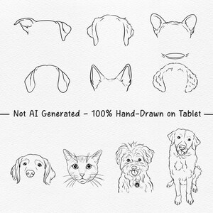 Custom Pet Drawing from Photo, Custom Dog Art Print, Personalized Dog Memorial Gift, Custom Pet Portrait image 8