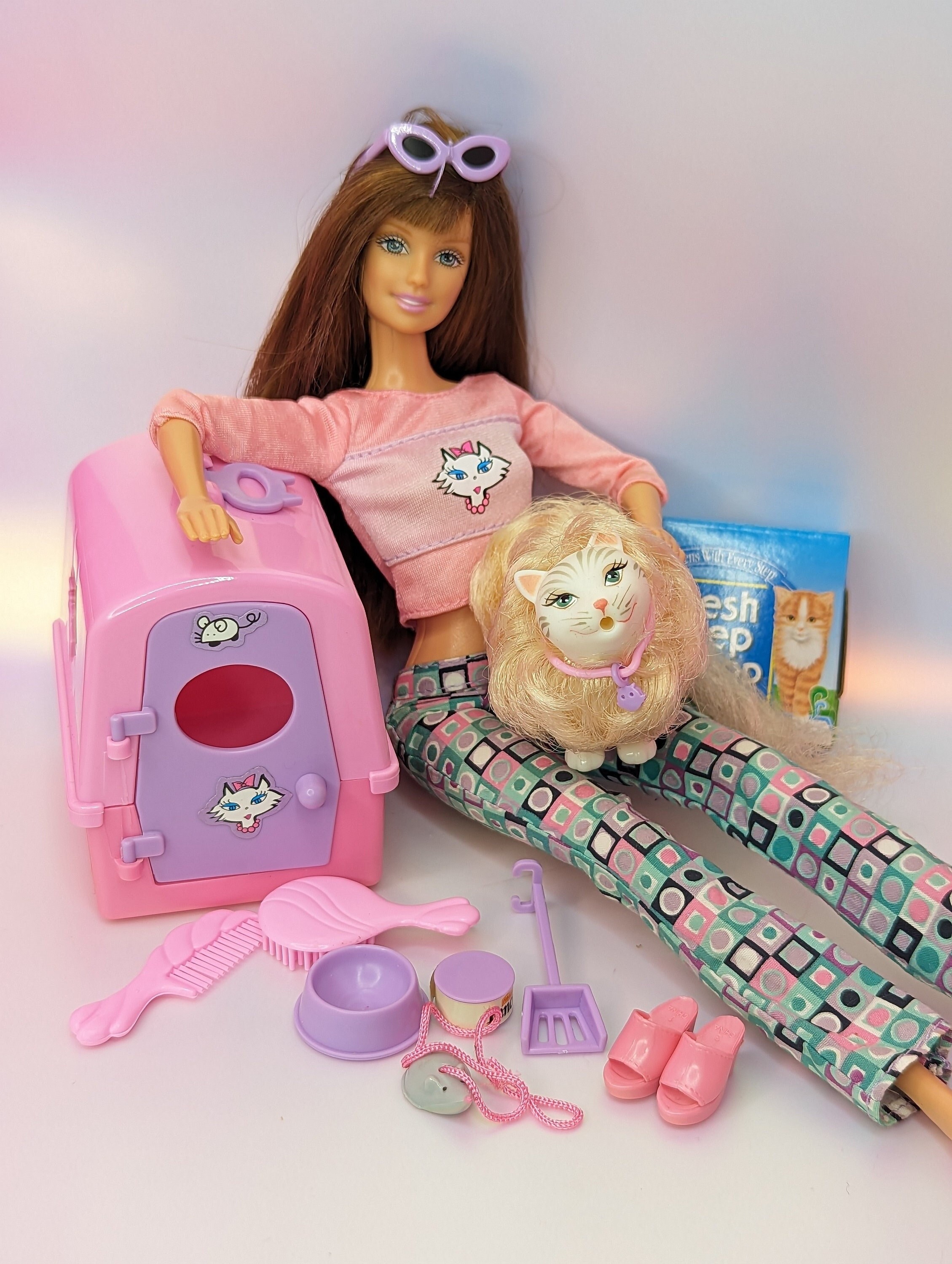 Barbie Kitty Fun Doll 2000 Mattel 28866 Brunette Barbie With ...