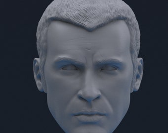 Scultura della testa personalizzata in 3D in scala 1/12 .STL