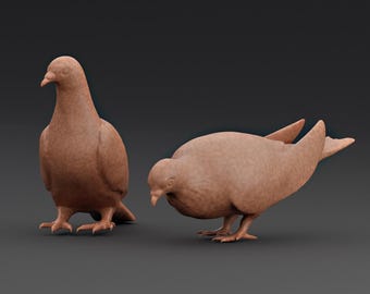 Taube - .STL für Actionfiguren Fotografen, Sammler