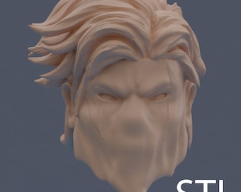 Scultura della testa personalizzata in 3D in scala 1/12 .STL