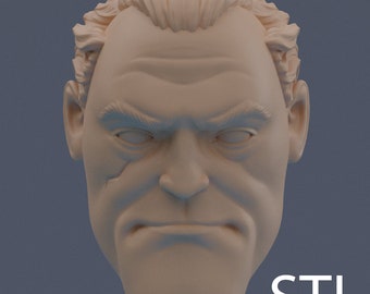 Scultura testa modellata 3D personalizzata 1/12 .STL