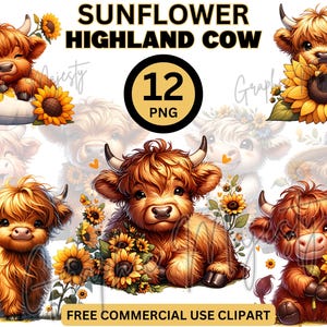 Paquete PNG de girasoles de vaca de las tierras altas, clipart de vaca, imagen de vaca de las tierras altas, descarga instantánea, gráfico de camiseta de vaca, diseño de sublimación, animal de granja