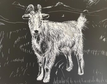 Retrato personalizado de animal em arte raspada