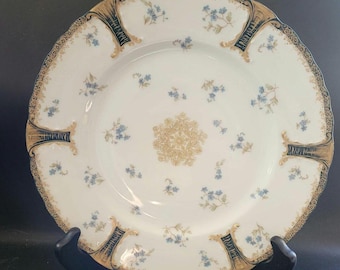 2pc Haviland Limoges For Bailey Banks & Biddle Plates 9"
