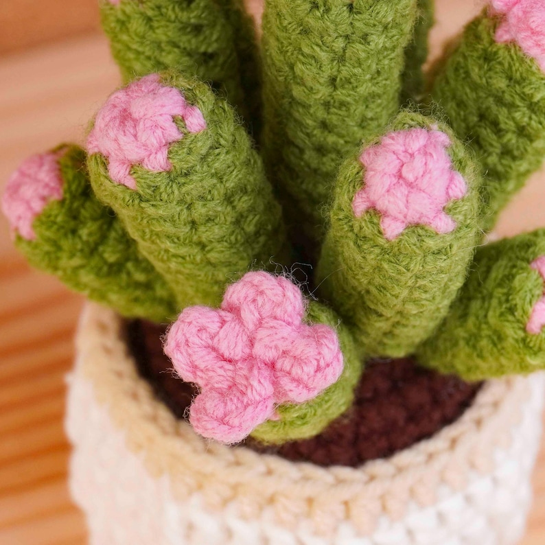 Mini Plant Pot Crochet Pattern Bundle, Cactus Pot Pattern, Succulent Pot Pattern, Mixed Plant Pot Pattern, Blooming Cactus Pot Pattern image 4