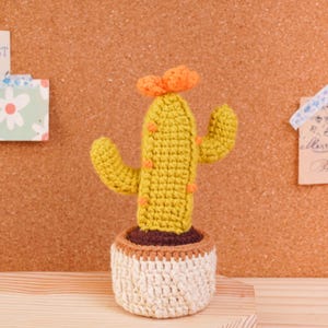 Mini Plant Pot Crochet Pattern Bundle, Cactus Pot Pattern, Succulent Pot Pattern, Mixed Plant Pot Pattern, Blooming Cactus Pot Pattern image 19