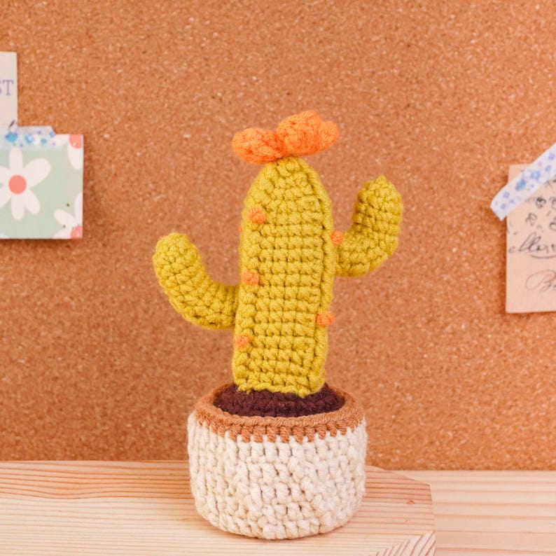 Mini Plant Pot Crochet Pattern Bundle, Cactus Pot Pattern, Succulent Pot Pattern, Mixed Plant Pot Pattern, Blooming Cactus Pot Pattern image 19