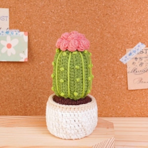 May include: A crocheted cactus with a bright green body featuring vertical ridges and small yellow dots, topped with a cluster of pink flowers. The cactus is planted in a white crocheted pot with a beige rim, showcasing detailed yarn texture.