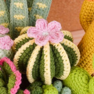 Mini Plant Pot Crochet Pattern Bundle, Cactus Pot Pattern, Succulent Pot Pattern, Mixed Plant Pot Pattern, Blooming Cactus Pot Pattern image 12