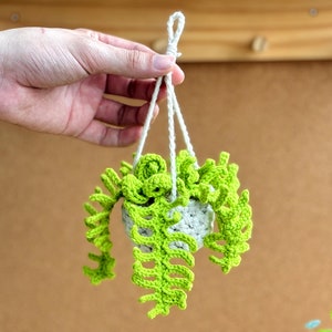 May include: A crocheted hanging planter with a green plant and a white pot. The planter is hanging from a white string.
