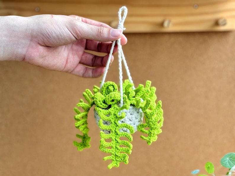 May include: A crocheted hanging planter with a green plant and a white pot. The planter is hanging from a white string.