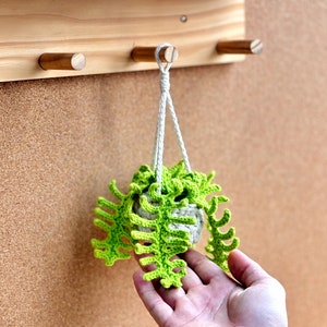 May include: A small crocheted plant hanger with a green crocheted plant inside. The hanger is hanging from a wooden hook on a corkboard.