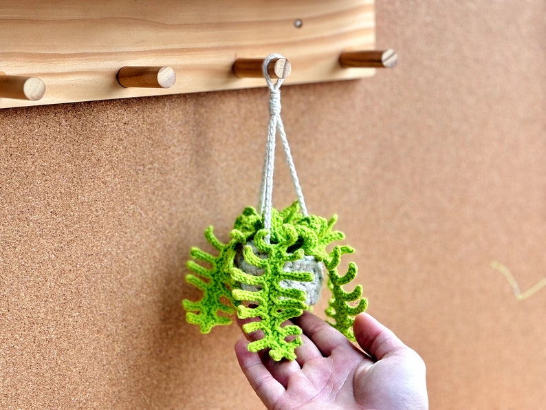 May include: A small crocheted plant hanger with a green crocheted plant inside. The hanger is hanging from a wooden hook on a corkboard.