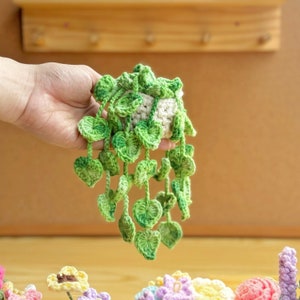 Pothos Plant Crochet Pattern, Car Hanging Plant Pattern, Car Hanging Plant Crochet Pattern, Flower Basket Hanging Crochet image 3