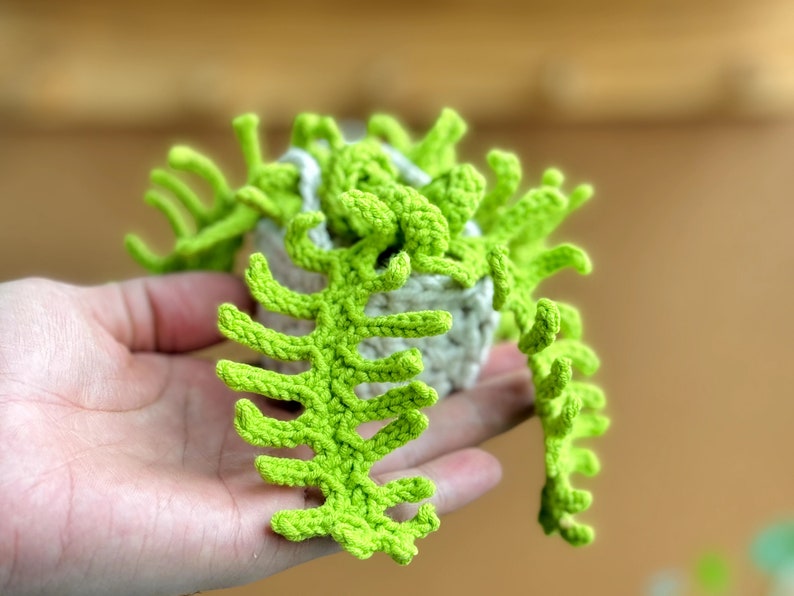 Plant crochet pattern, car hanging plant Crochet Pattern, Crochet hanging plant for car, Hanging Plant Pattern, Hanging basket crochet image 9