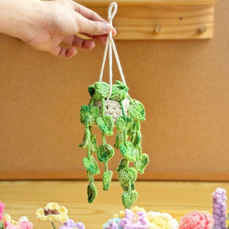 May include: A crocheted hanging plant with green leaves and a white pot. The plant is hanging from a white string.
