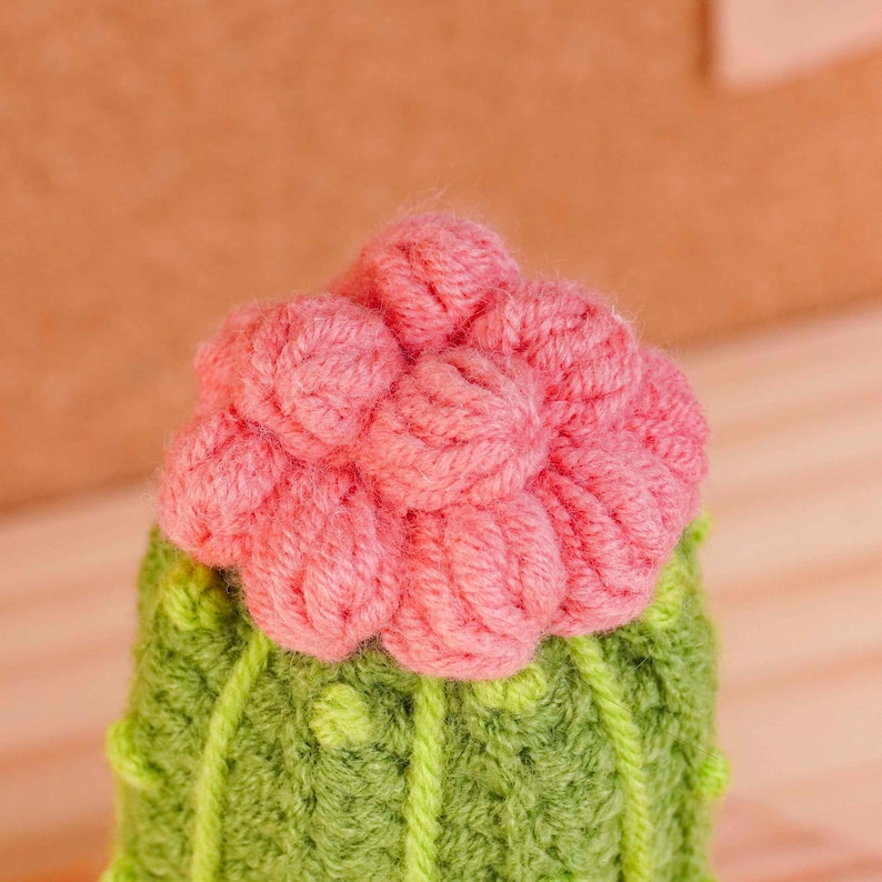 May include: A crocheted cactus figure featuring a textured green body with vertical ribbed detailing and a cluster of soft pink yarn bobbles at the top, mimicking a blooming flower. The piece is crafted from yarn with visible knit stitches.