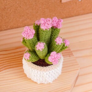May include: A crocheted cactus plant in a small white pot. The cactus has multiple green cylindrical stems, each topped with a small, textured pink flower. The pot is made of white yarn with a beige rim, and the soil is represented by dark brown yarn.