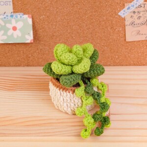 May include: A crocheted succulent plant with light and dark green leaves arranged in a rosette shape, featuring a trailing vine of small green spheres. The plant is housed in a small, round, cream-colored crocheted pot with a tan rim.