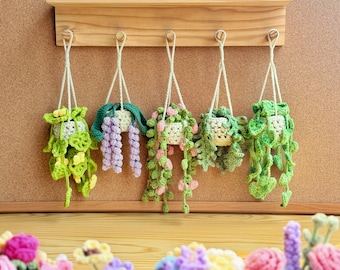 Plant crochet pattern, Fern plants, Daisy plants car hanging pattern, Crochet Drooping Montera flower, Hanging basket crochet, Lavender Pot