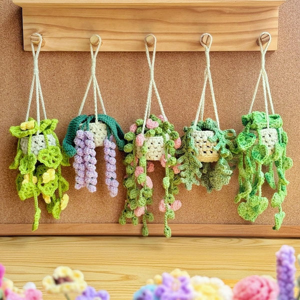 Plant crochet pattern, Fern plants, Daisy plants car hanging pattern, Crochet Drooping Montera flower, Hanging basket crochet, Lavender Pot