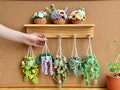 Plant crochet pattern, car hanging plant Crochet Pattern, Crochet hanging plant for car, Hanging Plant Pattern, Hanging basket crochet