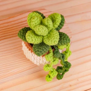 May include: A crocheted succulent plant in a small, round, cream-colored pot with a brown rim. The plant features layered, rounded leaves in various shades of bright lime green and dark forest green, with a trailing vine of small green spheres.