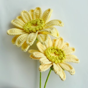 Gerbera Flower Crochet Pattern, Crochet Flower Bouquet Pattern, Crochet Flower Pattern, Wedding Flower image 2