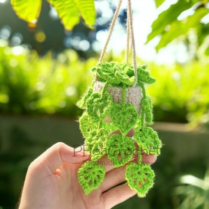 Crochet Patterns, Crochet Plant pattern, Crochet Hanging Plant Pattern, Pothos Plant Pattern, Drooping Leave Pattern image 2