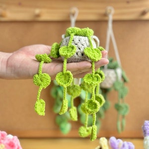 May include: A crocheted hanging plant with green leaves and a white pot. The plant is hanging from a hook on a wooden wall.