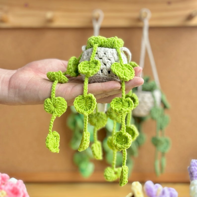 May include: A crocheted hanging plant with green leaves and a white pot. The plant is hanging from a hook on a wooden wall.
