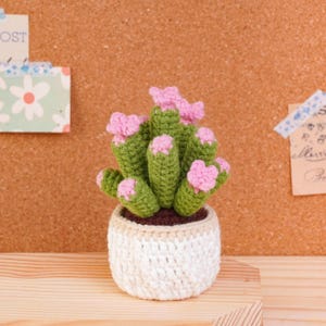 Mini Plant Pot Crochet Pattern Bundle, Cactus Pot Pattern, Succulent Pot Pattern, Mixed Plant Pot Pattern, Blooming Cactus Pot Pattern image 3